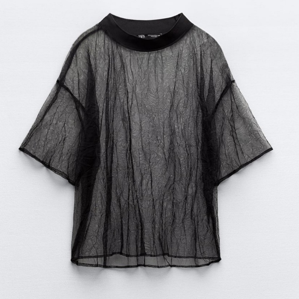 Zara Sheer Black Top